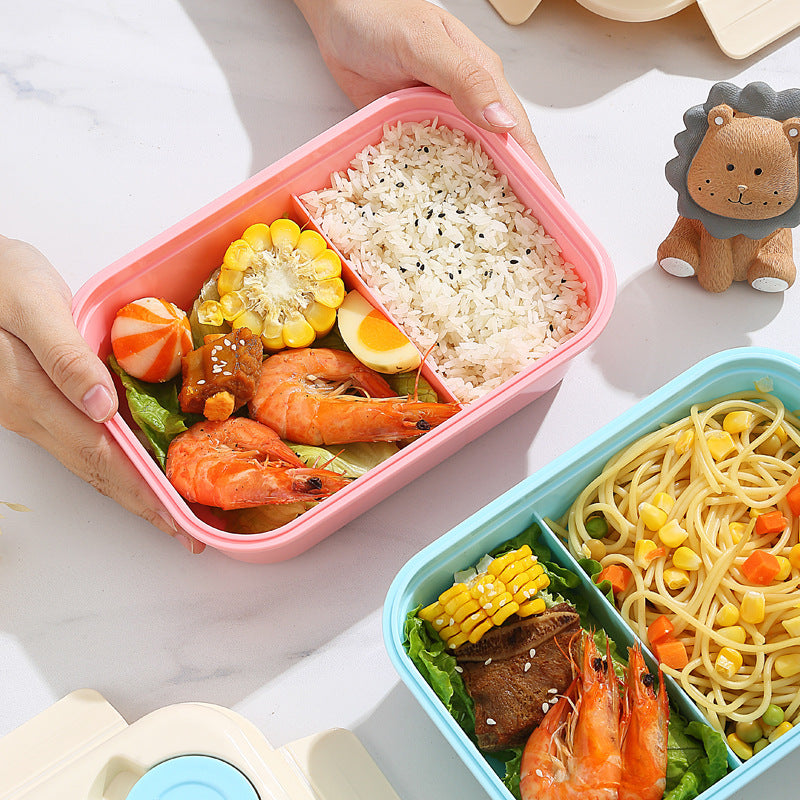 Multi-Compartment Bento Lunch Box Set