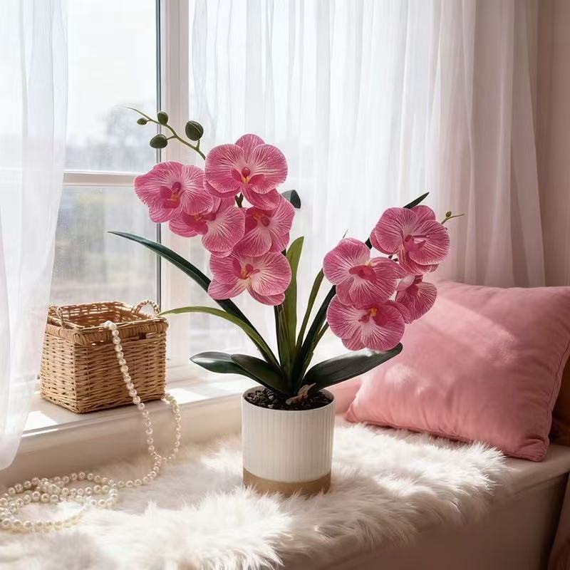 Orchid Floral Pot Arrangement