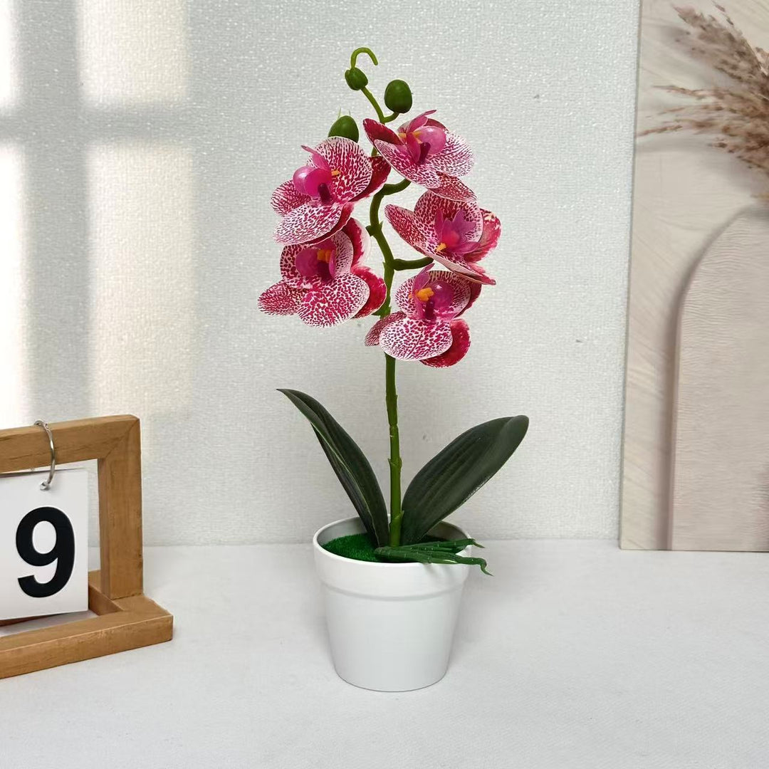 Decorative Artificial Orchid for Home Decor Display