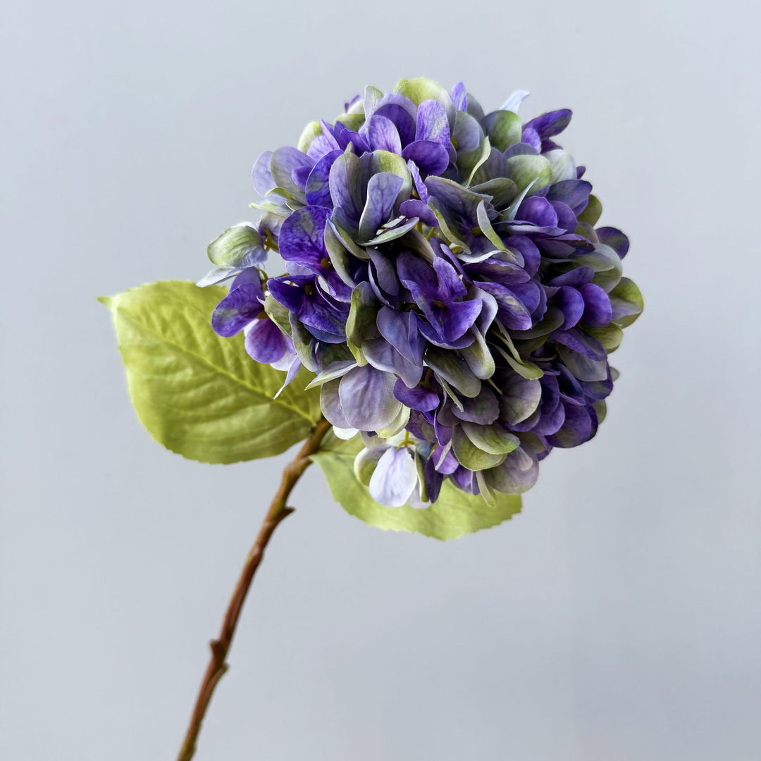 Floral Decorative