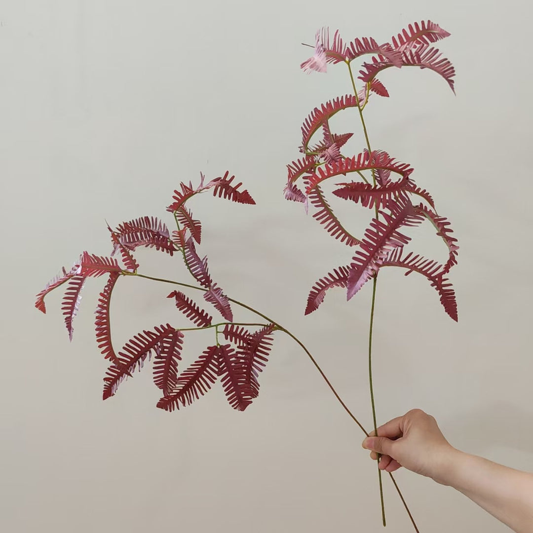 Artistic Fern Stem