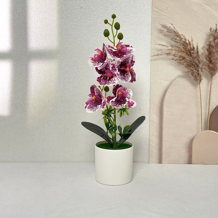 Elegant Orchid Floral Centerpiece