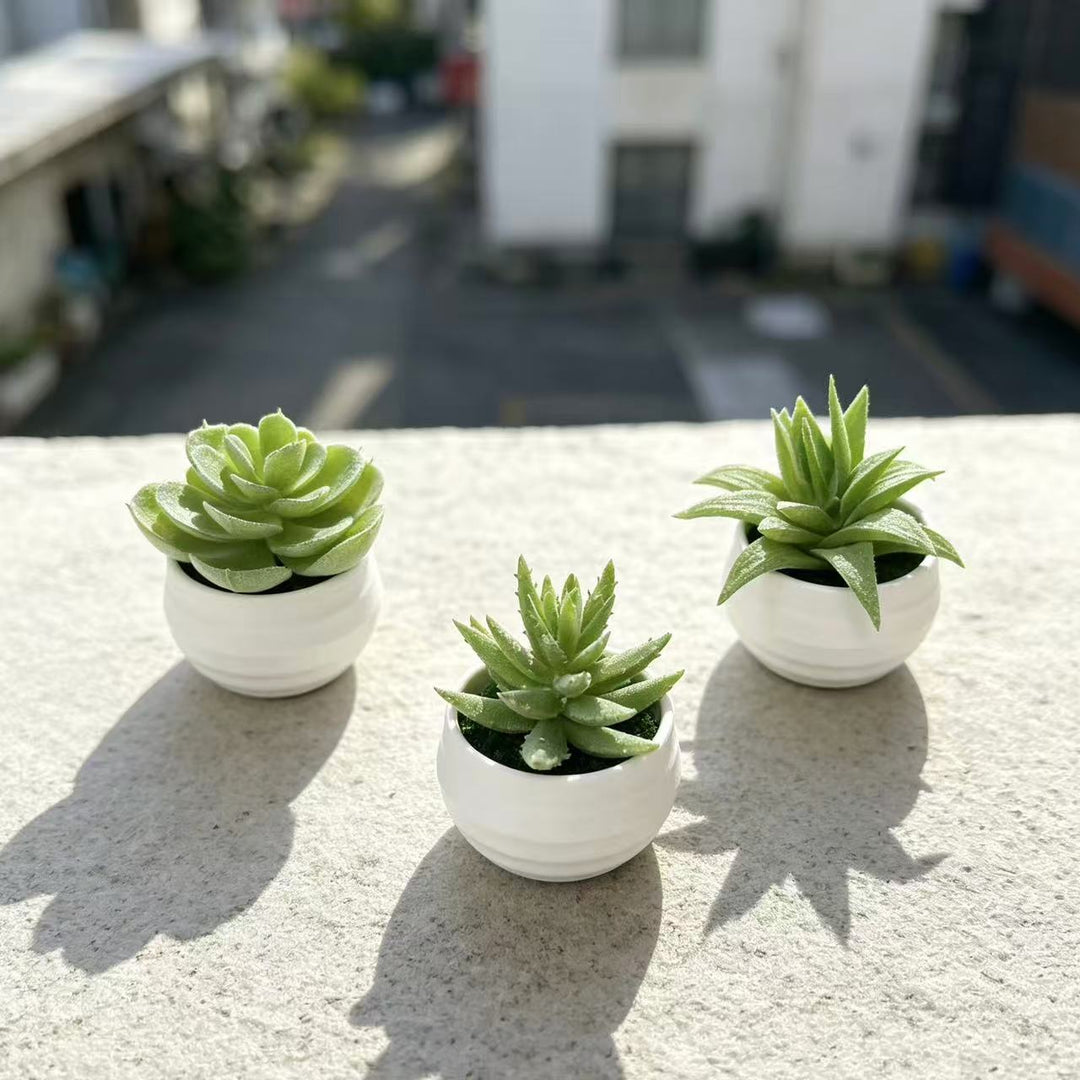 Lifelike Potted Succulent Plant