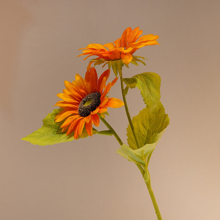 Decorative Sunflower Kalsten