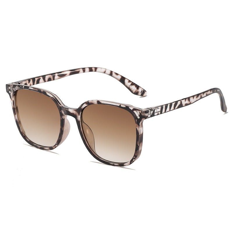 Vintage-Inspired Transparent Frame Sunglasses Kalsten
