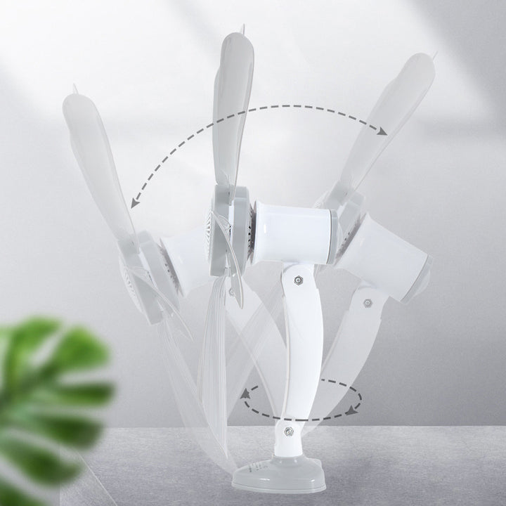 Ladies Wall Fan Kalsten