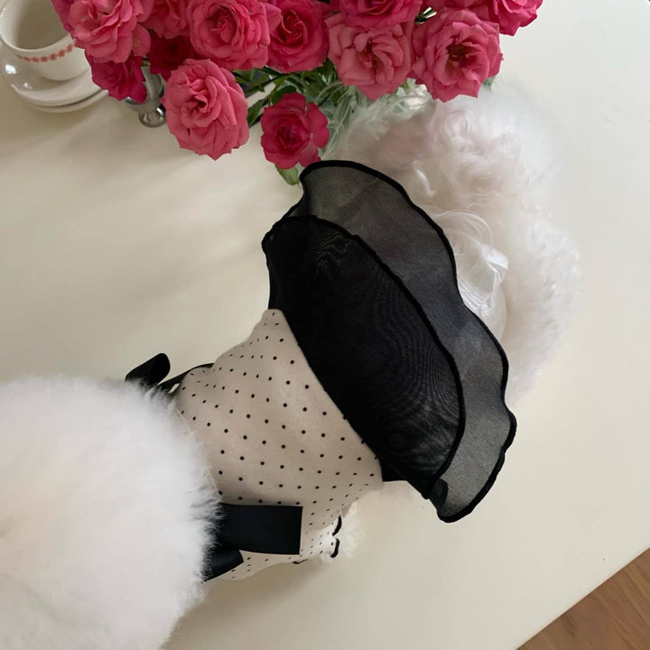 Polka Dot Chiffon Pet Dress with Grosgrain