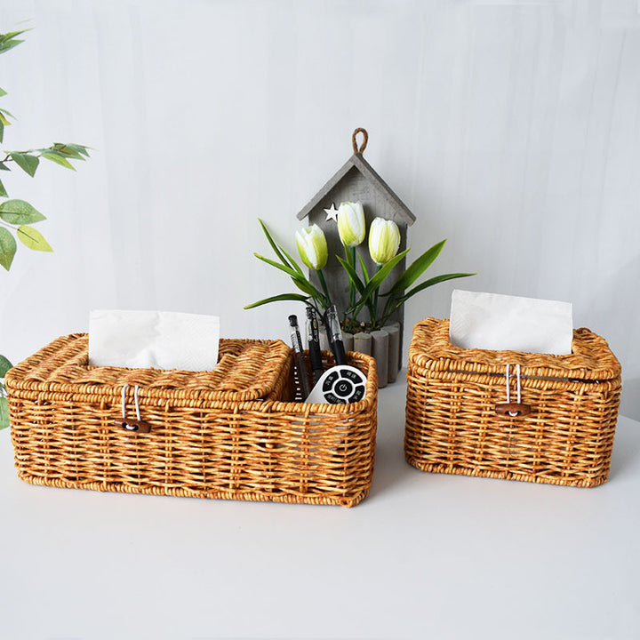 Handcrafted Woven Storage Organizer with Lid Kalsten