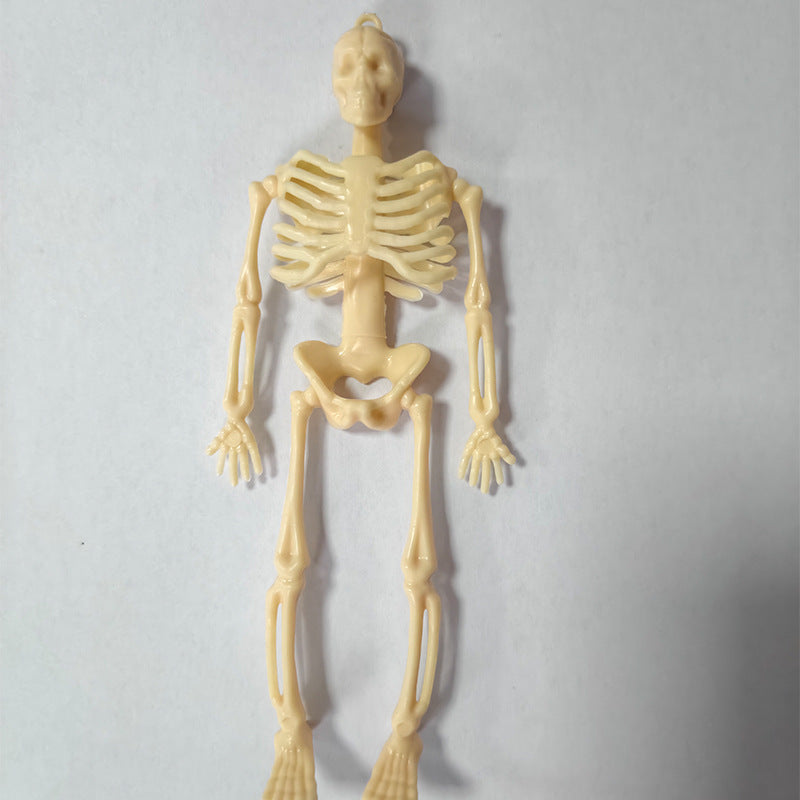 Miniature Anatomical Skeleton Kalsten