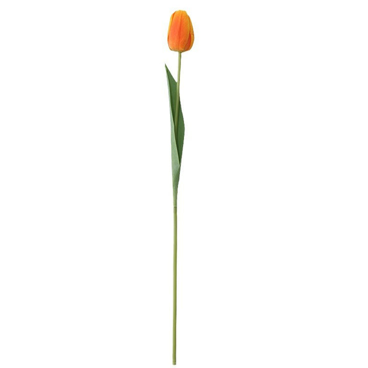 Realistic Tulip Floral Stem