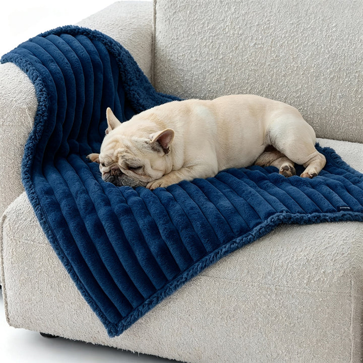 Cozy Textured Plush dog Blanket