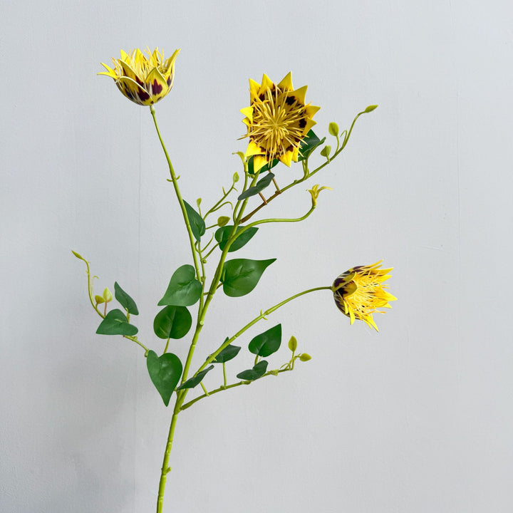 Exotic Flora Arrangement
