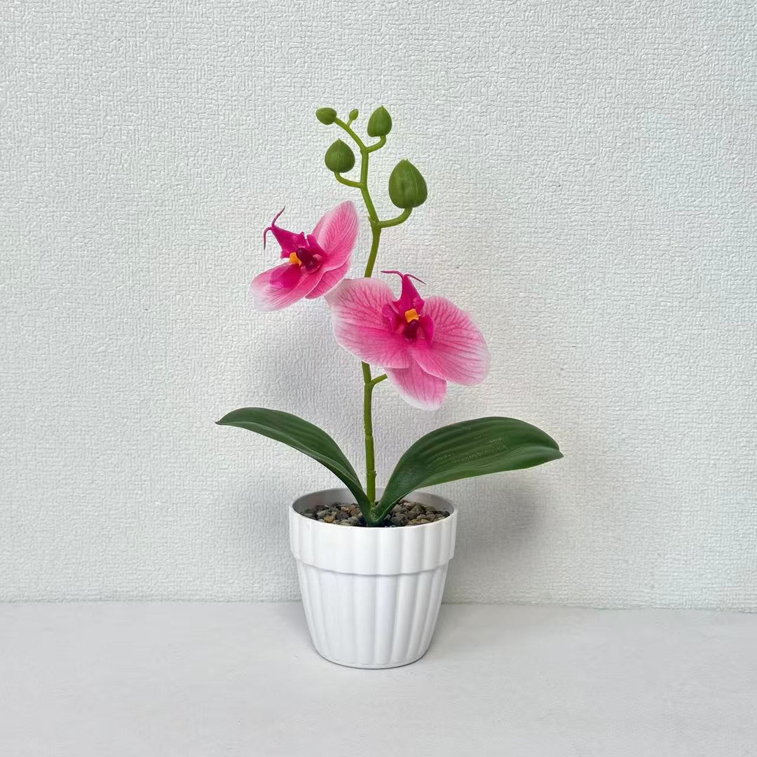 Lifelike Orchid Plant in Decorative Ceramic Pot for Decor