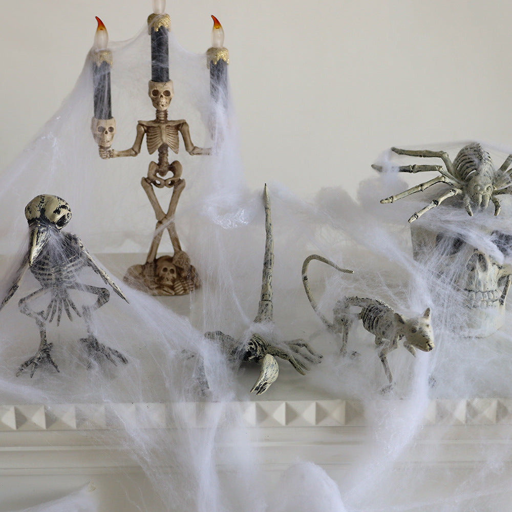 Decorative Animal Skeletons Kalsten