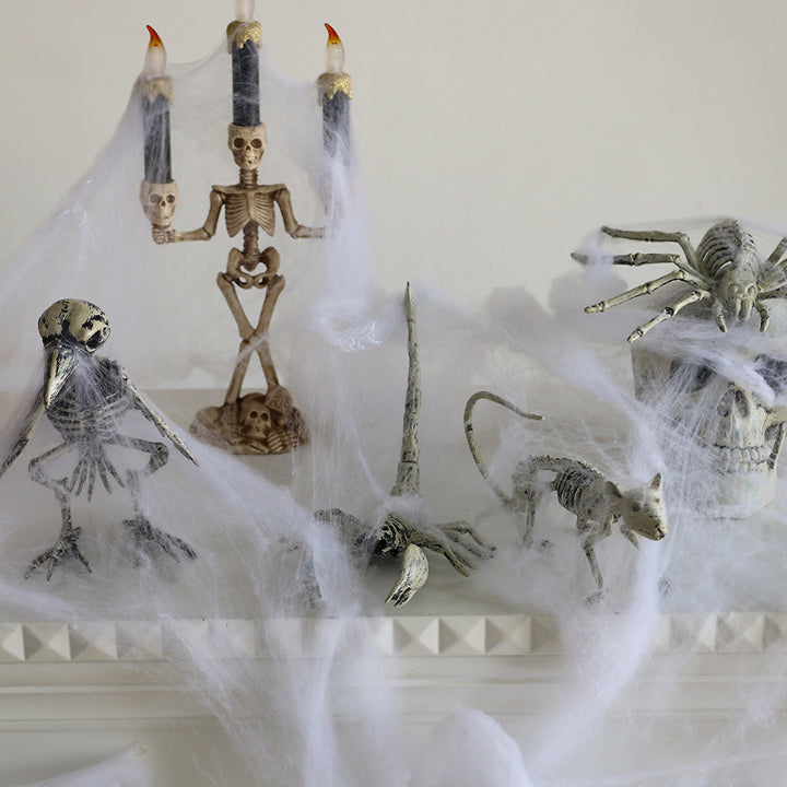 Decorative Animal Skeletons Kalsten