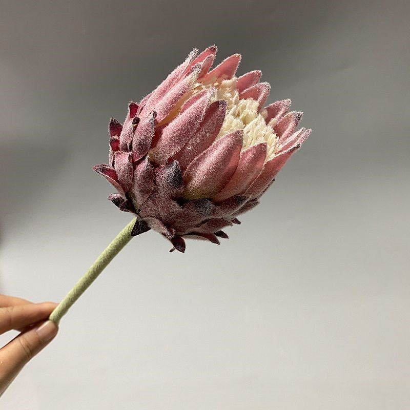 Lifelike Protea Flower Stem