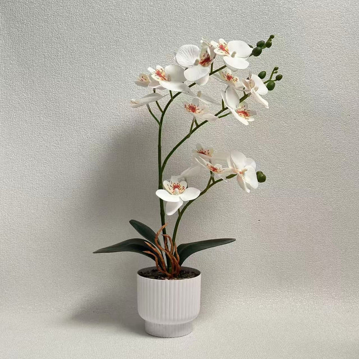 Realistic Artificial Orchid Plant with Decorative Pot