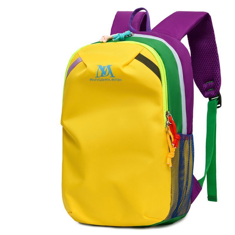 Stylish Colorful Backpack