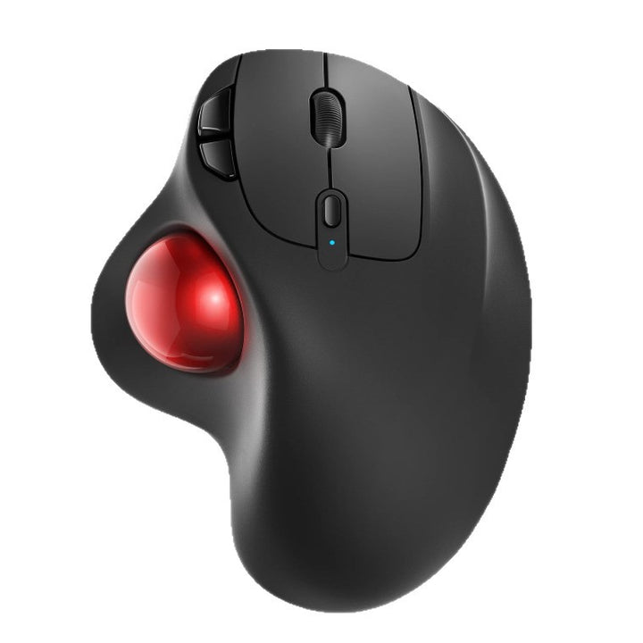 Ergonomic Trackball Mouse Kalsten