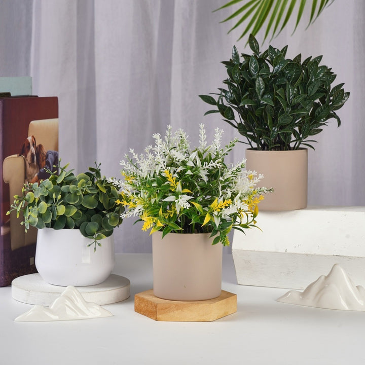 Lifelike Succulent Decor