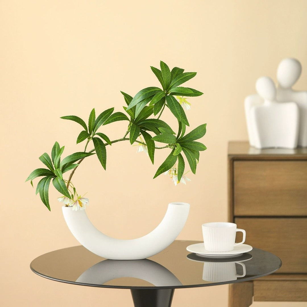 Elegant Curved Ceramic Flower Vase for Home Decor