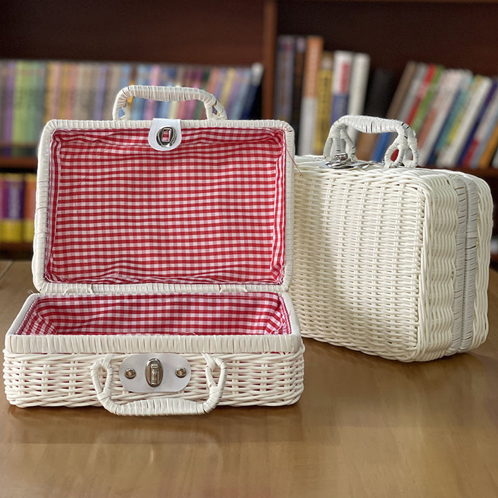 Stylish Woven Storage Case Kalsten
