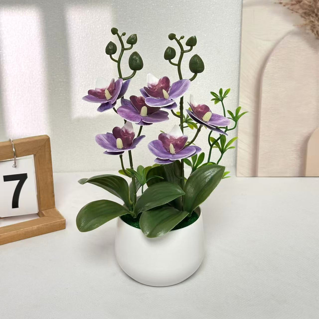 Orchid Floral Arrangement