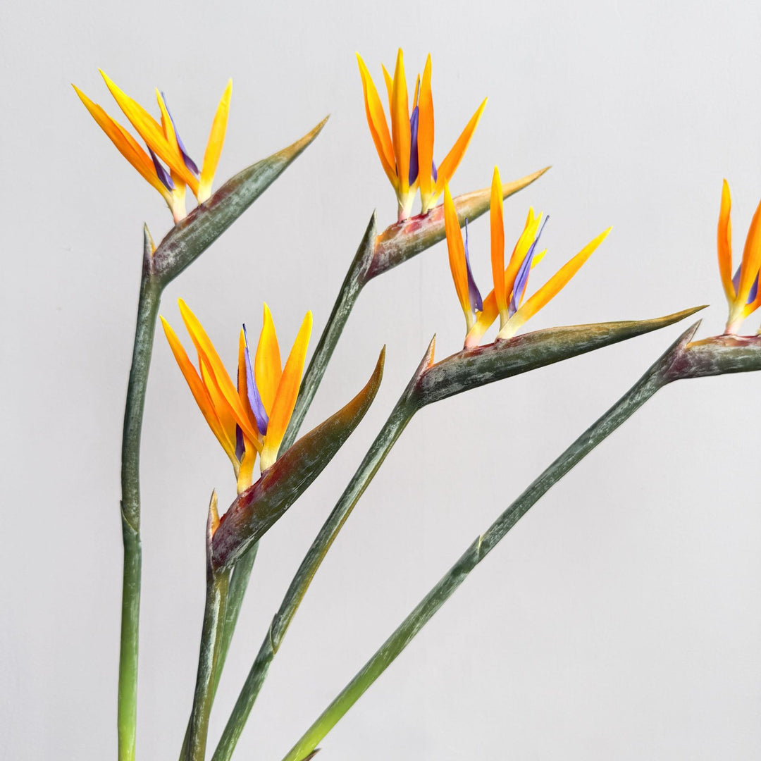 Decorative Flower Display