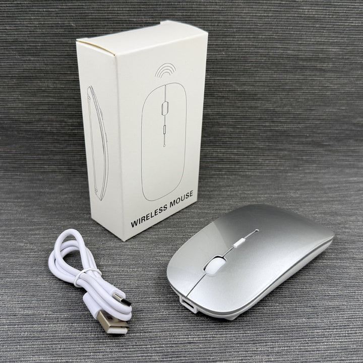Wireless Ergonomic Mouse Kalsten