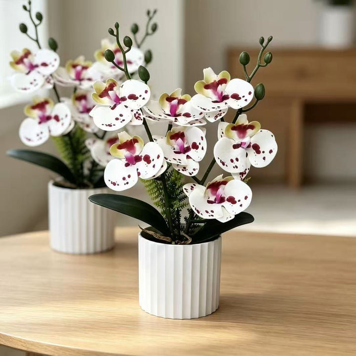 Realistic Orchid Plant Arrangement