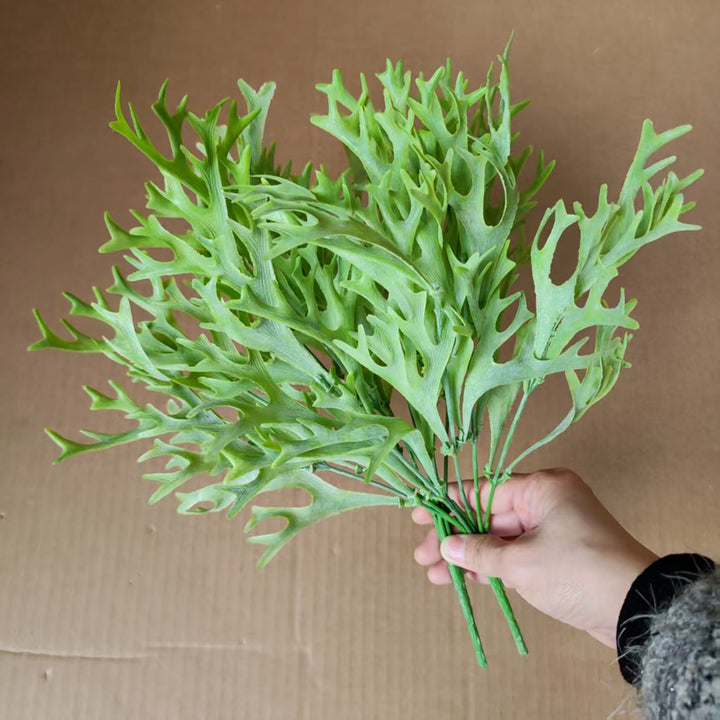 Decorative Fern Foliage Arrangement