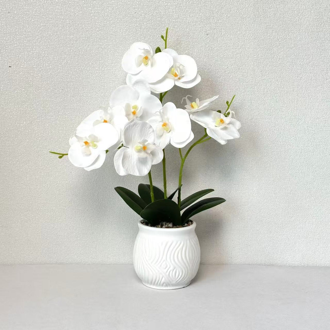 Elegant Orchid Floral Display