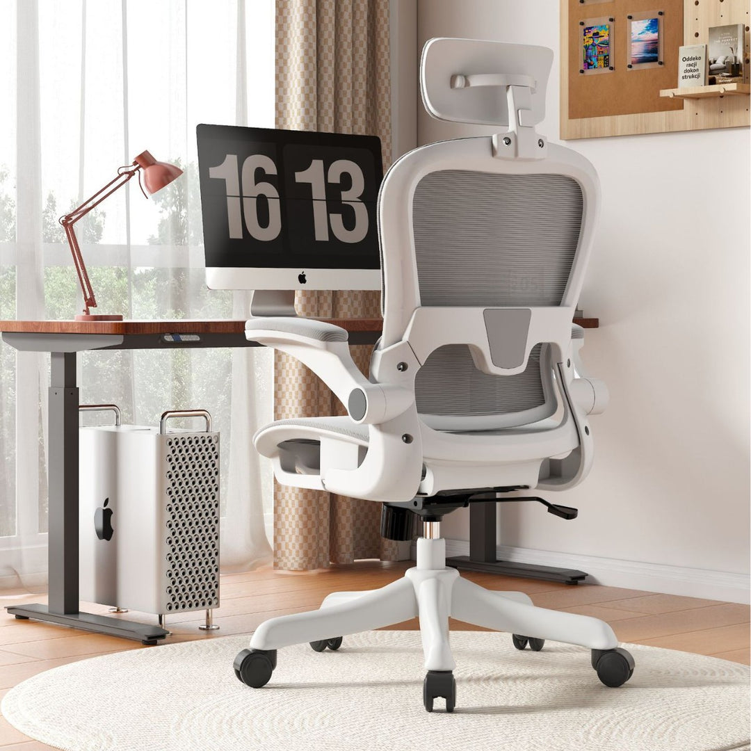 Ergonomic Office Chair Kalsten