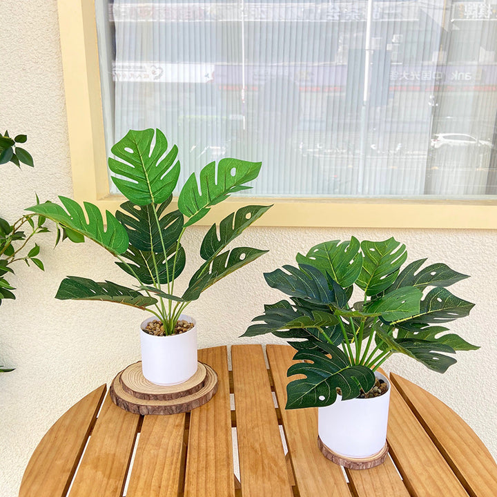 Lifelike Indoor Fern Plant