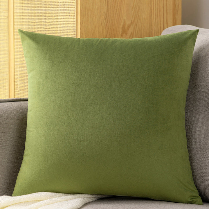 Plush Velvet Decorative Pillow
