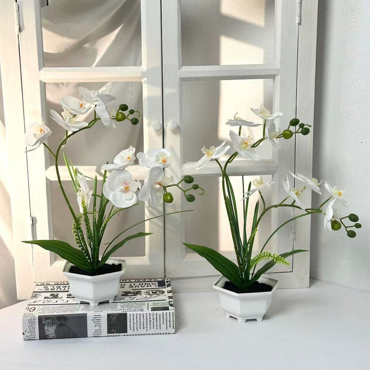 Home Decorative Artificial Orchid for Home Decor and Display