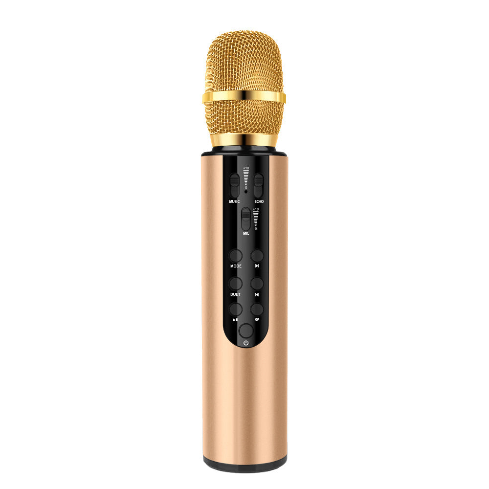 Karaoke Microphone Kalsten