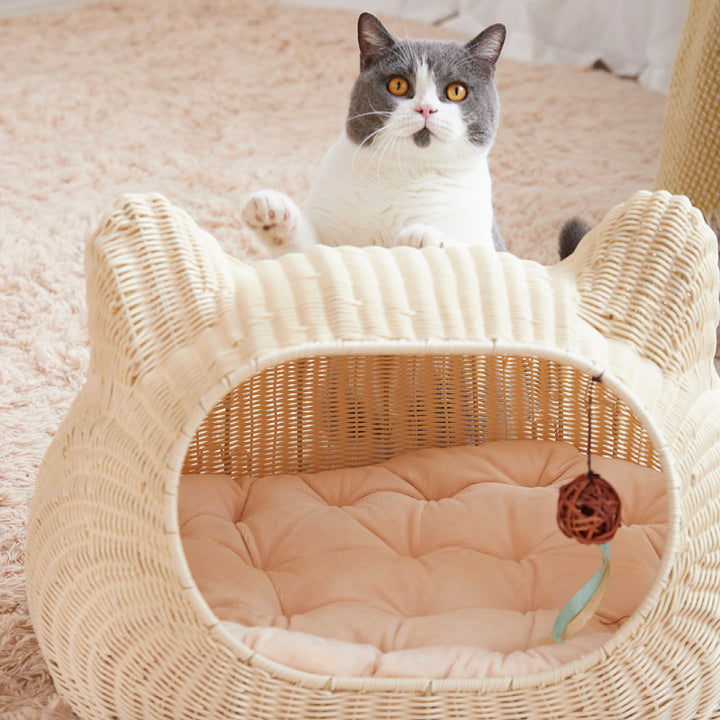 Cozy Cat House Kalsten