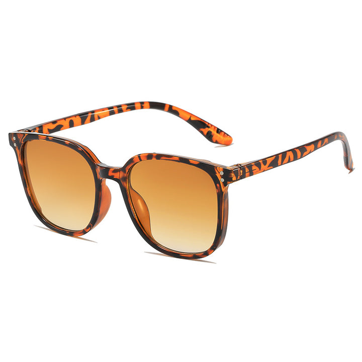 Vintage-Inspired Transparent Frame Sunglasses Kalsten