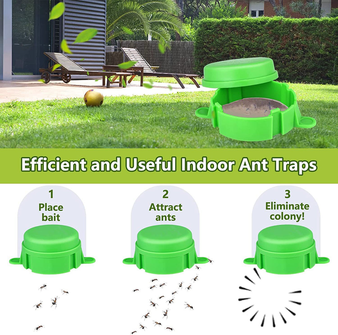 Ant wasp trap with refill system Kalsten