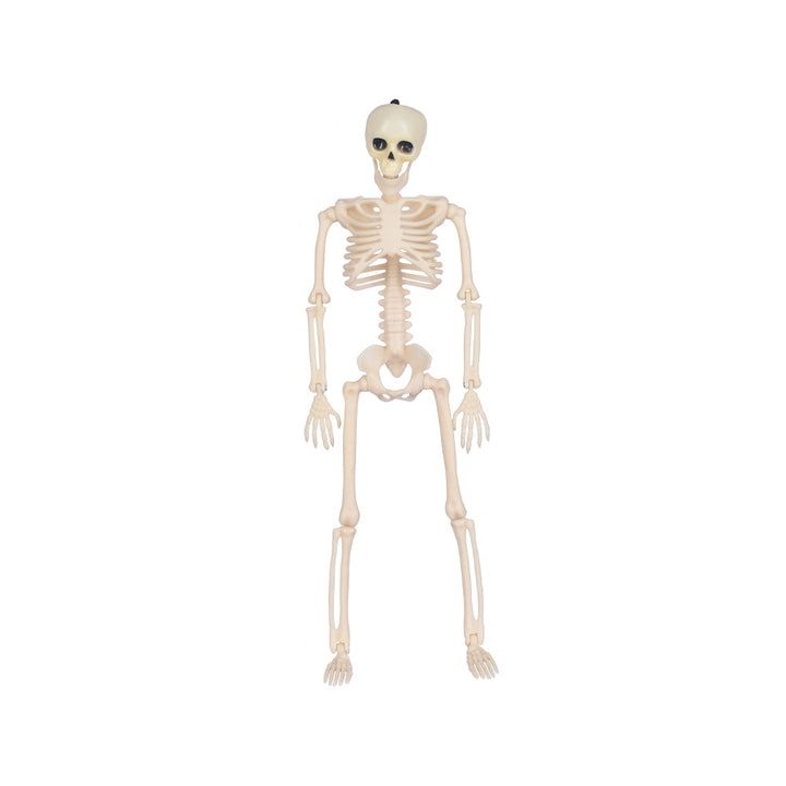 Glow-in-the-Dark Skeleton Decorations Kalsten