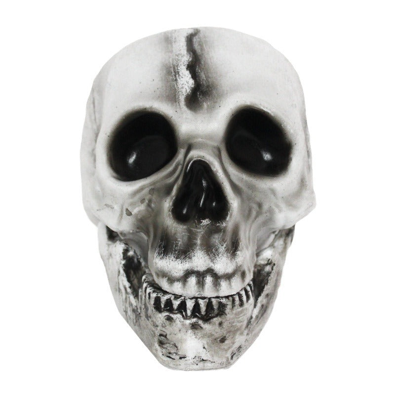 Decorative Halloween Skull and Pumpkin Set Kalsten