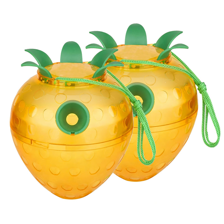 Attractive Insect Trap Kalsten