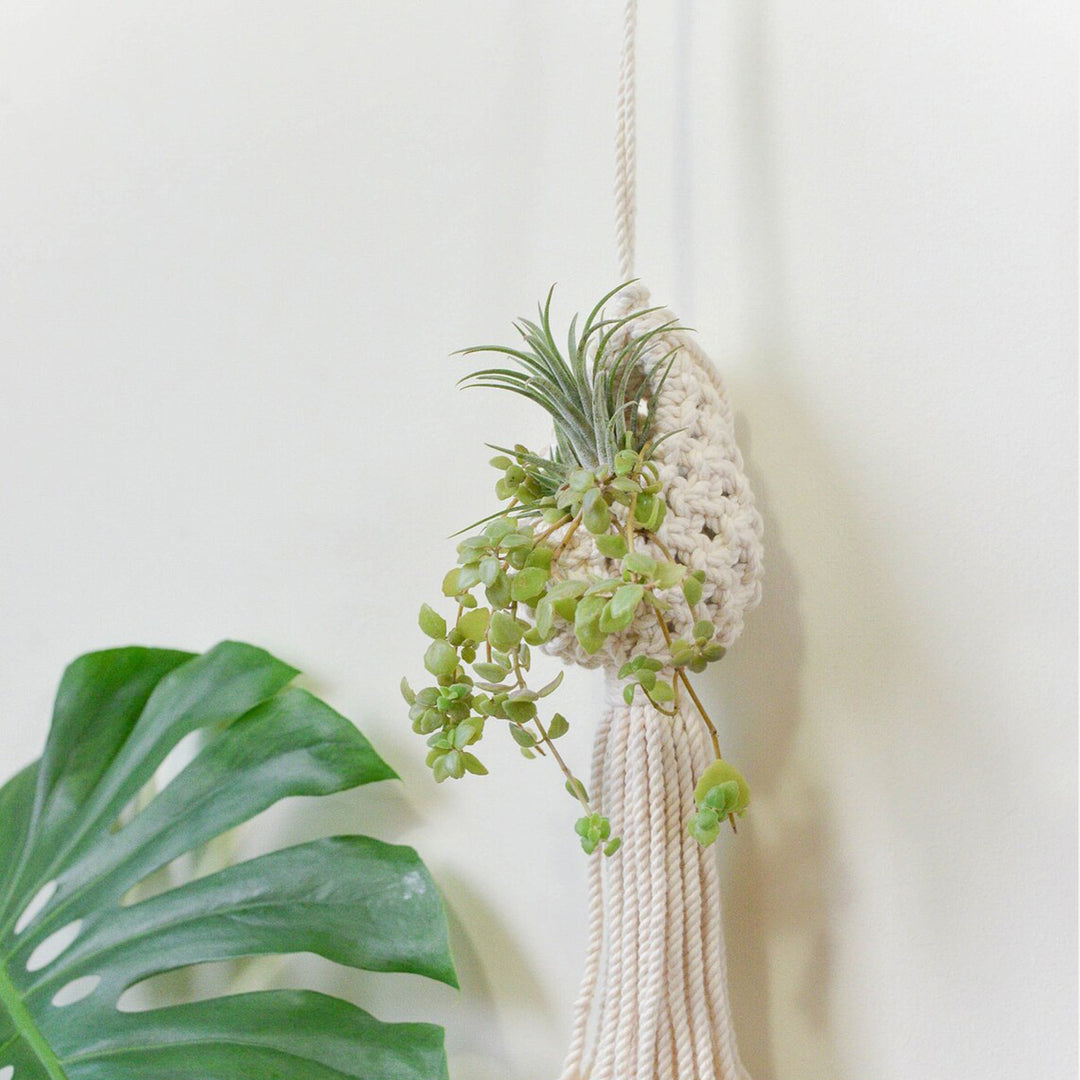Macrame Hanging Plant Holder with Decorative Tassel Kalsten