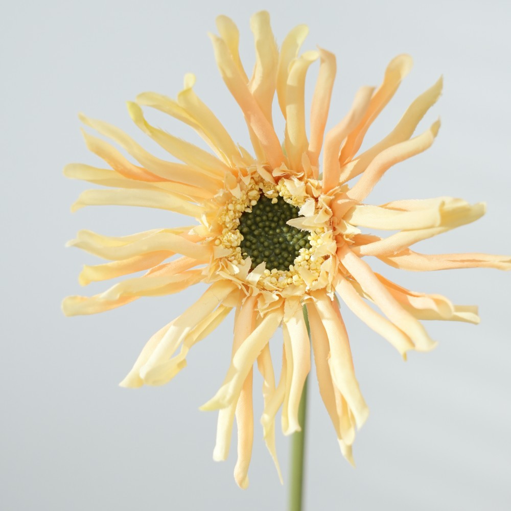 Realistic Sunflower Stem
