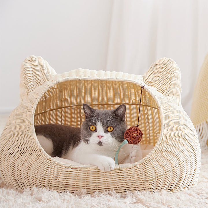 Cozy Cat House Kalsten