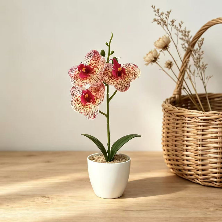 Realistic Artificial Orchid Plant for Home Decor Display