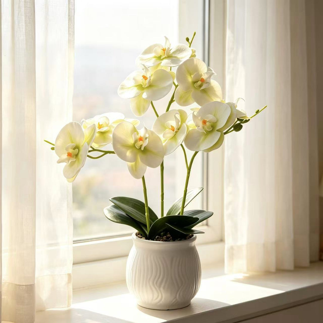 Elegant Orchid Floral Display