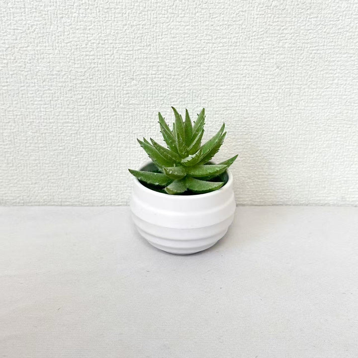 Lifelike Potted Succulent Plant