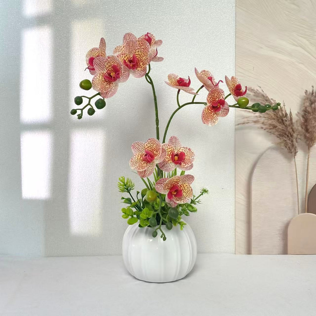 Decorative Orchid Arrangement